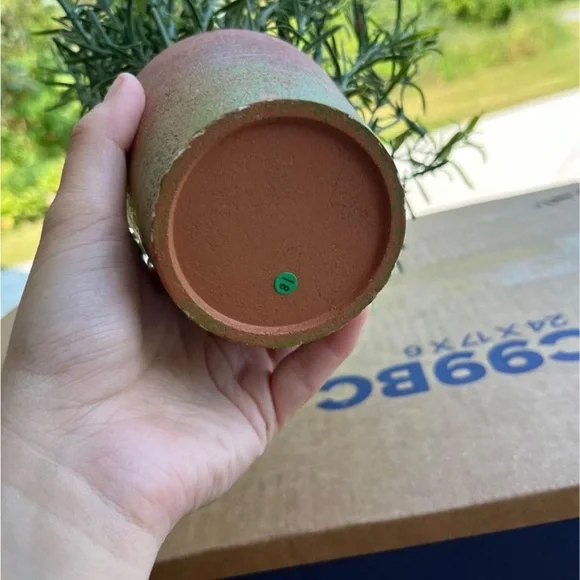 ARTIFICIAL ROSEMARY PLANT IN RUSTIC POT - Picture 4 of 6